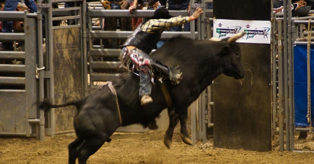 Bull Ride Champion's Determination to Compete Again Despite Serious Injuries