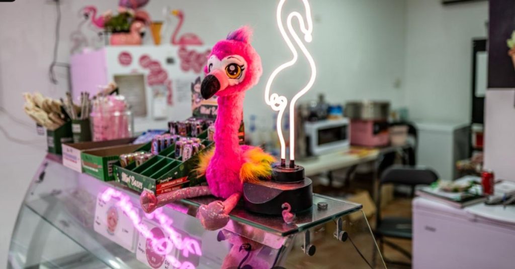 Flamingos Ice Cream in Beachmere