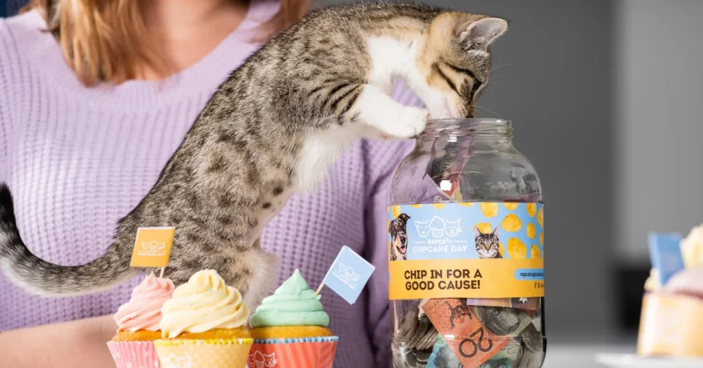 cupcake day