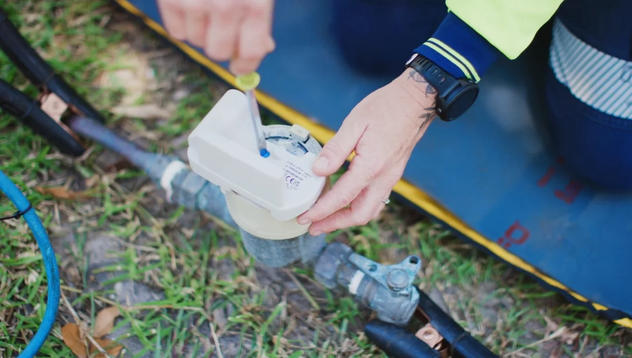 Kallangur Mango Hill