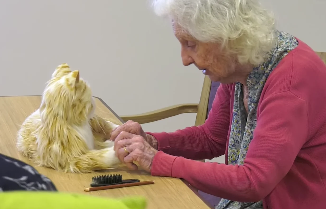 Robotic cat for dementia support