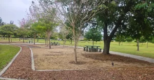 Wyllie Park